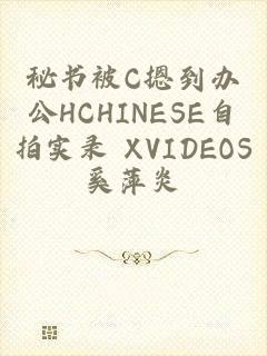 秘书被C摁到办公HCHINESE自拍实录 XVIDEOS